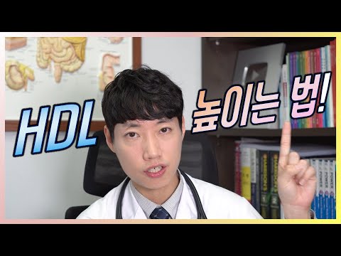 HDL 높이는 법 l 이상지질혈증 l 저HDL-콜레스테롤혈증 l 닥터딩요