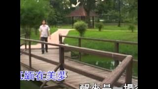 【水长流 好梦太匆匆 我不管 回想曲】李進才