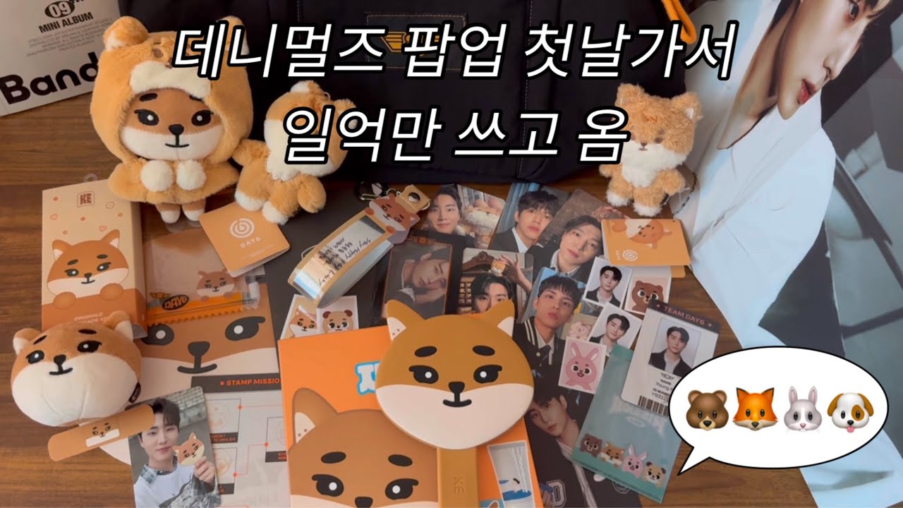 데니멀즈 팝업 첫날 간 영상 | 데이식스팝업, 데니멀즈, denimalz, 더현대팝업