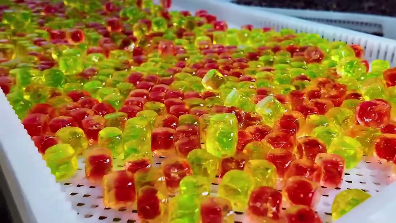 OEM / ODM Experts TikTok & Amazon Best-Selling Supplements