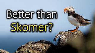 I Went to the Isle of May for Puffins - Here's What I Learned