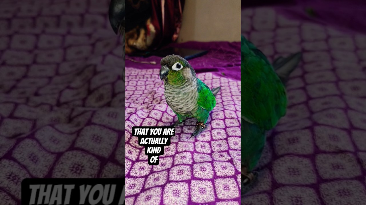 Отправьте это другу 🥰