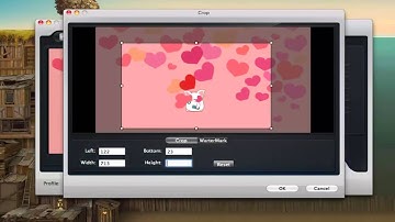 Free SWF to MP4 converter for mac,convert SWF to MP4 mac lion