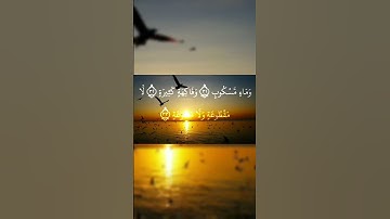 وأصحاب اليمين ما أصحاب اليمين | من سورة الواقعة | القارئ عمير شميم | حالات واتس | #quran #اكسبلور