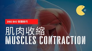 Dse Bio答題技巧 搞唔清邊個肌肉會收縮 Which Muscle Will Contract?