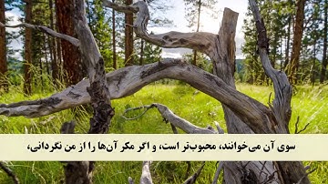 جز 12 (  سوره یوسف از آیه 31 تا 37 ) با ترجمه فارسی صوتی و تصویری