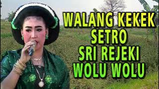 WALANG KEKEK, SETRO, SRI REJEKI, 88 = GENDING LAWAS TAYUB TUBAN