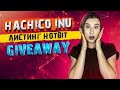Hachiko Inu | листинг на HotBit | Giweaway $ 2000