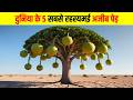 द न य क 5 सबस रहस यमई अज ब प ड 5 Most Mysterious And Strange Trees In The World