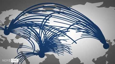 Meet Move One Logistics