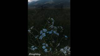 (FREE) Cigarettes After Sex x Dream Pop Type Beat - "withered"
