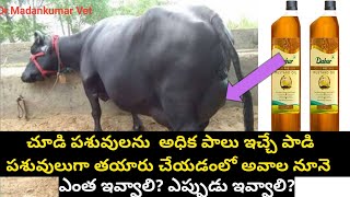 సూడి పశువులకు అవాల నూనె | Mustard oil to Pregnant Cows or Buffaloes Telugu | DrMadankumarVet