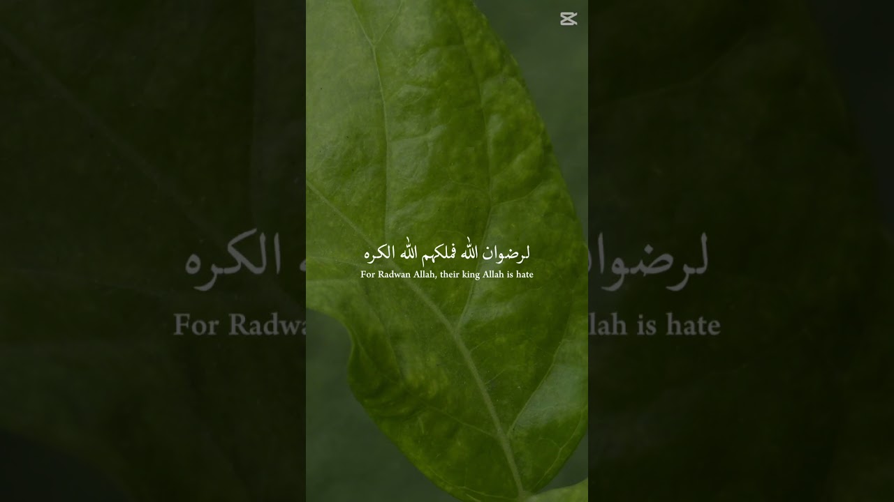 القلوب التي تترك كل شيء لاجل الله يكثر عليها عطاء الله ،،،من صدق الله ../مقتطفات غراس