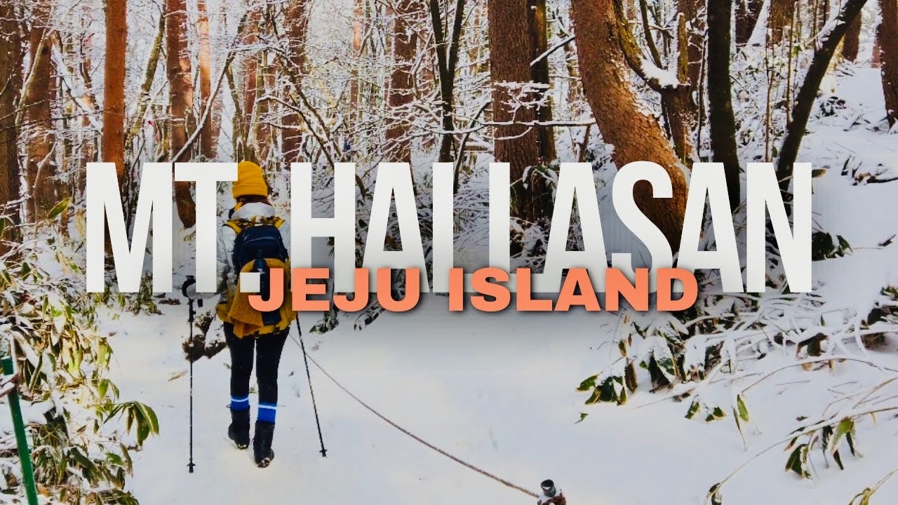 A WALK-THROUGH MT.HALLASAN WINTER HIKING | STYLED by LA|