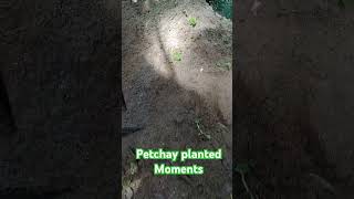 Be happy everyday without sacrifice no glory