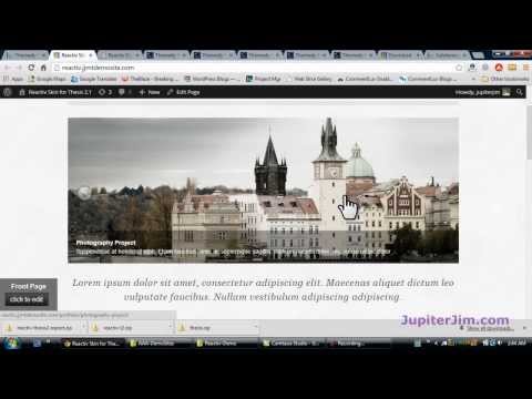 How to install Reactiv Skin (by Themedy) on Thesis 2.1 in WordPress