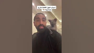 اسباب تبول القطط خارج حمامها Shorts 