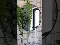 🪞 Smart Mirrors That Scan Your Body 😳 #HealthTech #SmartHome #FutureLiving #Innovation