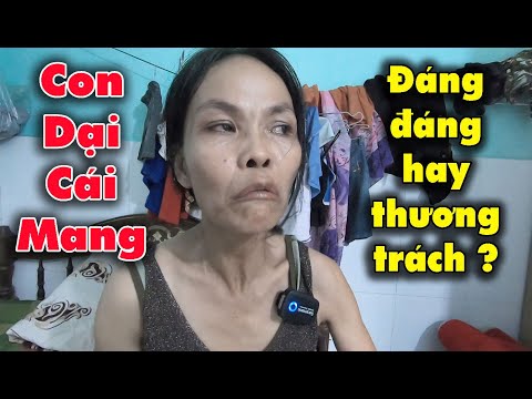 Video #786 Con dại cái mang, Lời nói dối của Chị Loan đáng... - youtube