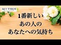 【🌅明晰鑑定💡蘇る時期がきたようです🌈】1番新しいあの人のあなたへの気持ち✨