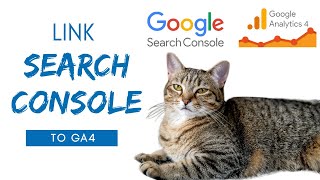 Link Search Console to GA4 (Cat Interruption Edition) #ga4 #analytics #measurement #datascience