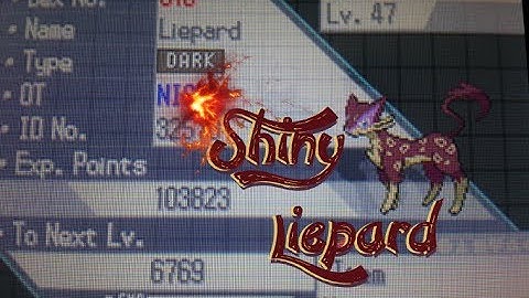 Shiny Liepard appears after only 2,604 Encounters! (ISHC #2)