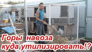 Горы навоза исчезают в компостной куче. ПОЧЕМУ?