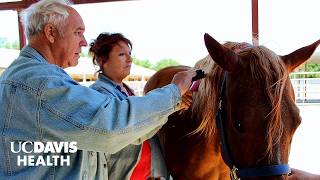Horse Therapy for Dementia Patients: A UC Davis Study
