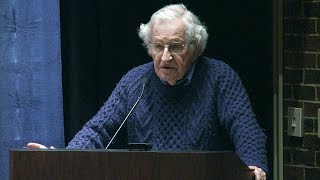 “Noam Chomsky Q&amp;A” &quot;Activism from Vietnam to Palestine&quot;