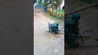 The amazing experience with donkey power car #trending