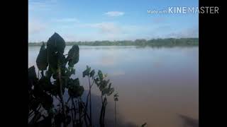  ¿ Como es el Río Orinoco ? 2020 ( Tucupita )- Delta Amacuro + Venezuela || Luix Alkimista