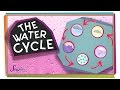 The Journey of Water Through Earth's Cycle