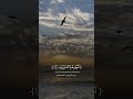 Islam sobhi beautiful recitation #quran