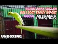 Unboxing Beli Kenari Scotfancy Ring Nb Cek Harga Burung Kenari Terbaru Mp3 - Mp4 Download