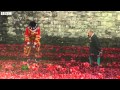 BBC News   Royals visits Tower of London poppy garden