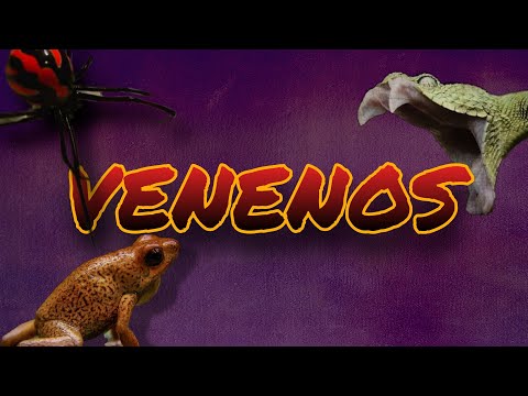 Video: ¿Qué significa veneno?