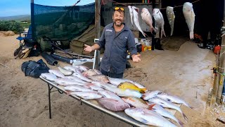 DESERT VISIONS  Manta Rays, Spearfishing & Deep Sea Fishing on Dirk Hartog Island