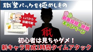 職パッケ装備を極めたら育成がとても楽になりました！(雑談)【ラグナロクオンライン】