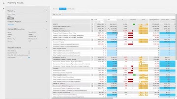 Infor Dynamic Enterprise Performance Management (Infor d/EPM)