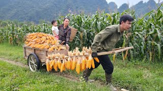 Harvest and preserve corn with her husband - Build a livestock farm and garden