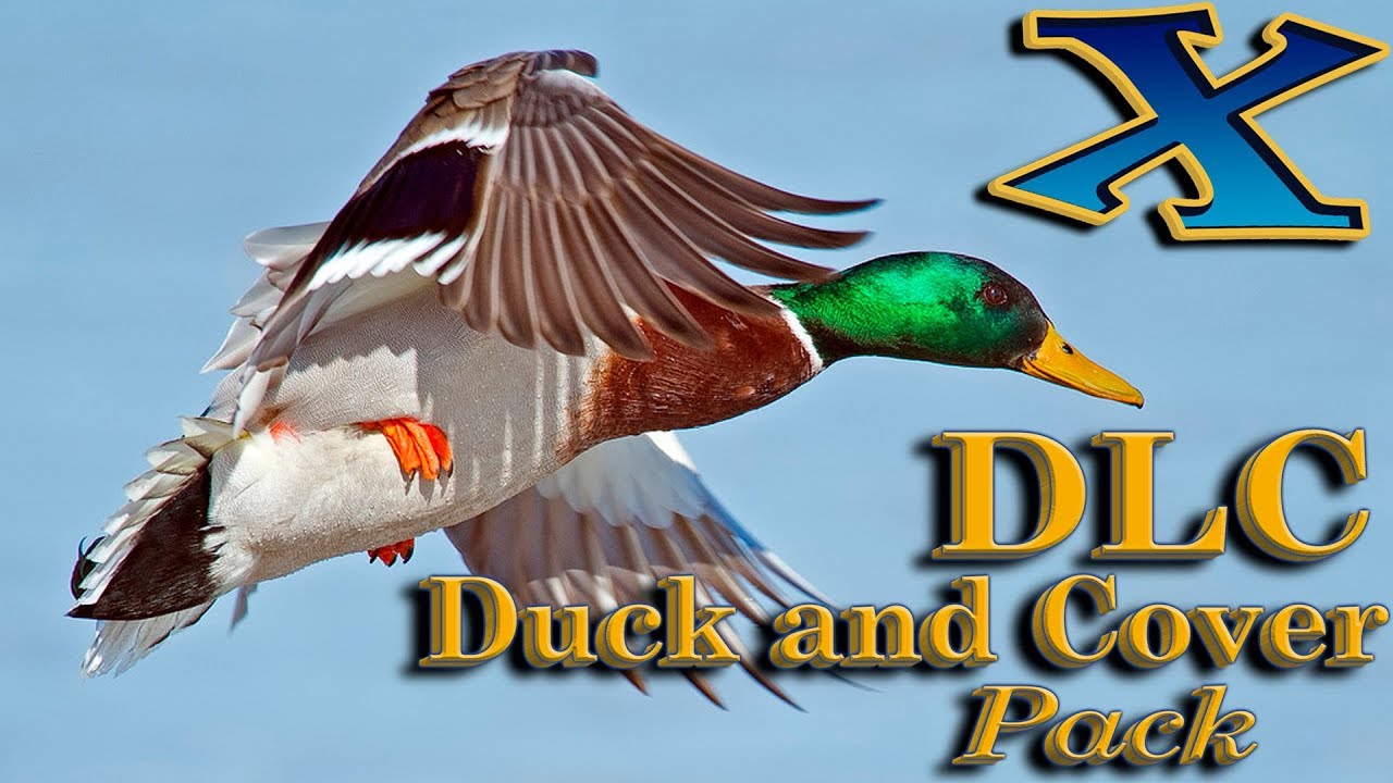 theHunter Call of the Wild. DLC "Duck and Cover Pack" (ОБЗОР) Mallard