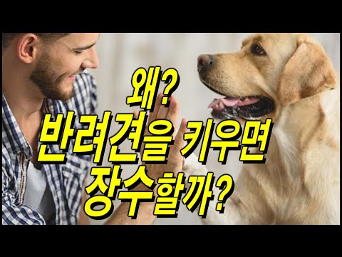 왜? 반려견을 기르면 장수할까~? 심장병 뇌졸증 우울증 예방에 특효~^*