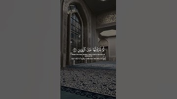 ياسر الدوسري ||سورة التكاثر#quran #شاشة_سوداء #قران #شاشة_سوداء_قران_كريم #ياسر_الدوسري #راحة_نفسية