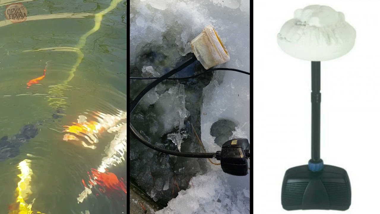 Замерзла полынья у соседа в пруду | Скорая прудовая помощь | ПРУД ПРУДИ