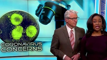 Electrostatic Sprayers