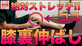 【膝裏伸ばしストレッチ】ひざ裏ストレッチ方法を解説!!《腓腹筋内側頭Gastrocnemius》Knee Pain Stretching