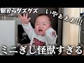ミニぎしのグズグズ期が大変すぎるけど可愛いが勝ってしまった