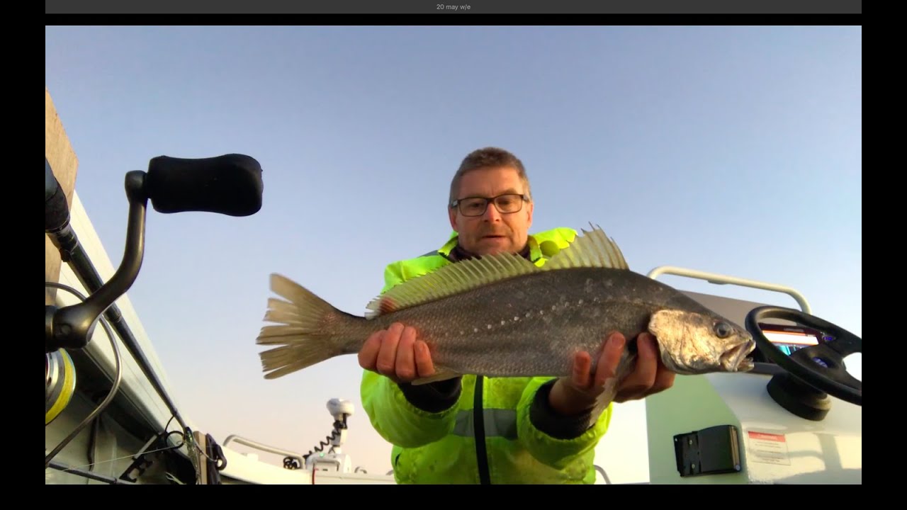 Catching Jewfish, Flathead, Bream Lake Macquarie YouTube