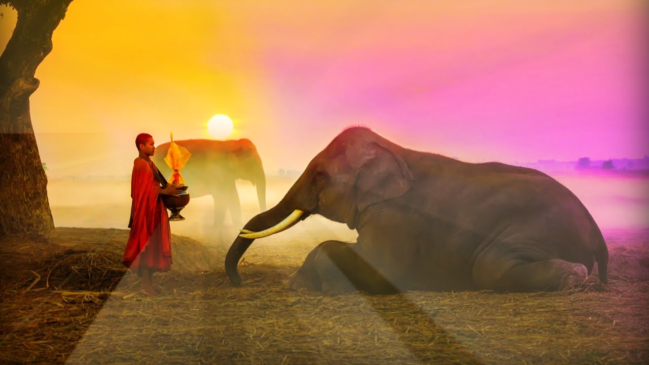 528 Hz   Frequency Of Love   Attract Good Vibes   Manifest Love - Healing Music   Sleep Music