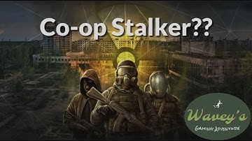 Co-op STALKER is pure shenanigans